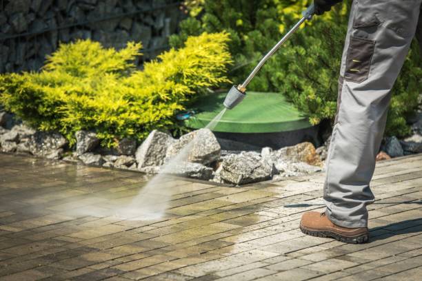 Best Boat and Dock Cleaning  in Merrifield, VA